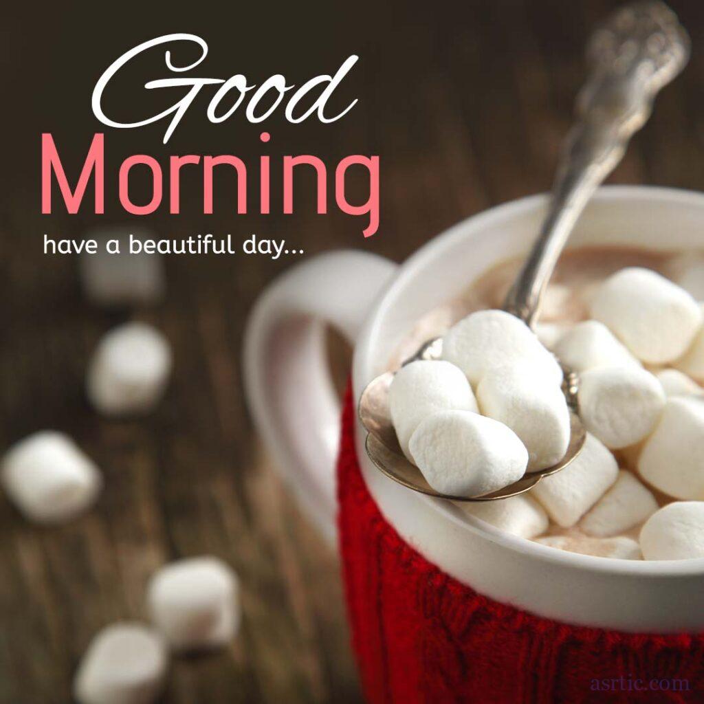 A wonderful way to start a lovely day is with a cup of hot chocolate with marshmallows