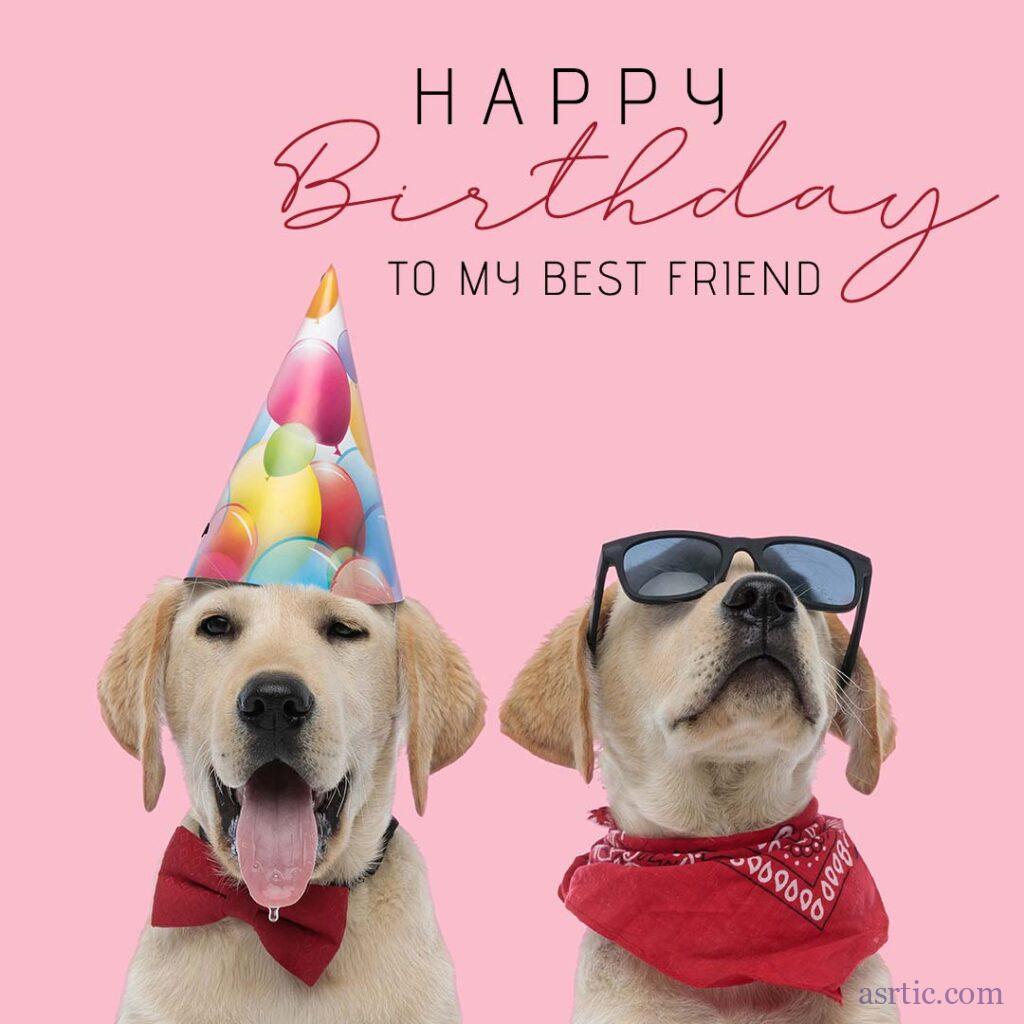 Two labrador retrievers wearing red bandanas, sunglasses, party hats, and poking out their tongues